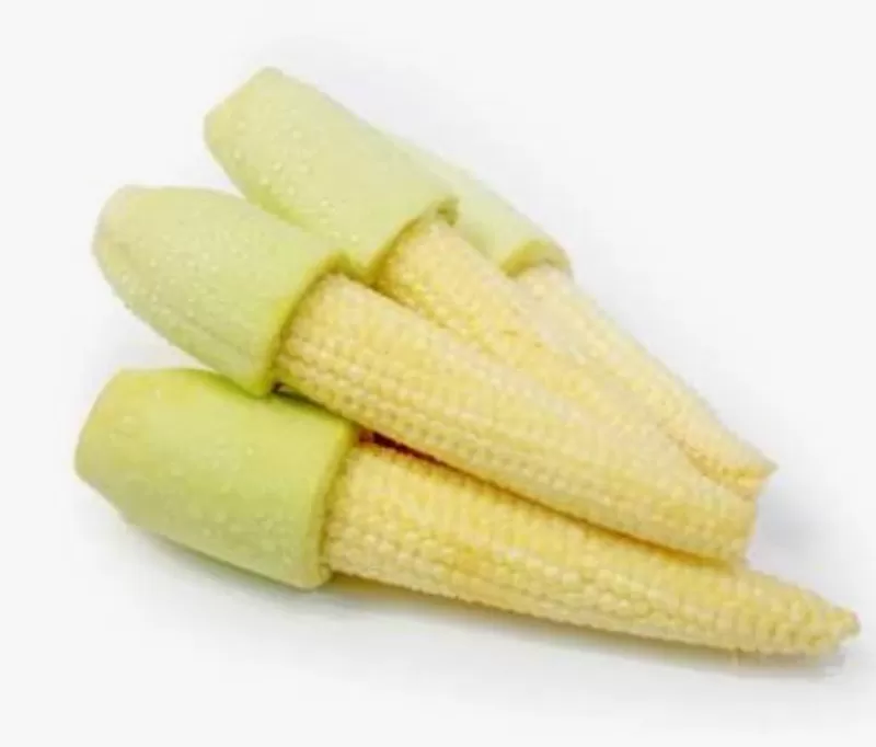 Jagung baby / Janten ¼ kg